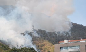 Incendio en El Ávila dejó dos bomberos lesionados
