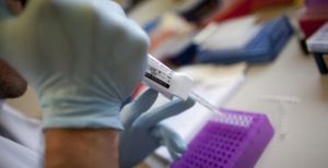 Desarrollan en Australia una vacuna contra todas las variantes de la malaria