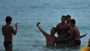 Delfín muere en manos de turistas que prefirieron tomarse fotos en vez de ayudarlo (Fotos)