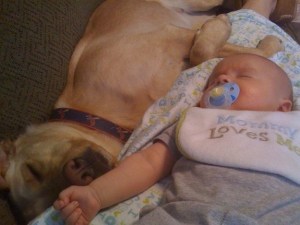 Mira como este bebé y su perrito crecieron siendo los mejores amigos (Fotos + Awww)
