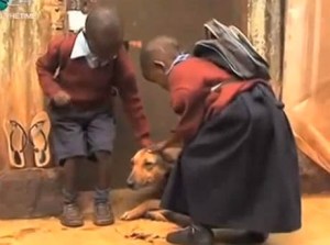 Este perrito salvó la vida de dos niños kenianos y los cuida como su padre (Video)
