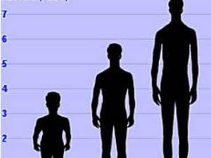 Hombres europeos son cada vez más altos