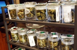 Washington y Colorado esperan ola de turistas en nuevas tiendas de marihuana