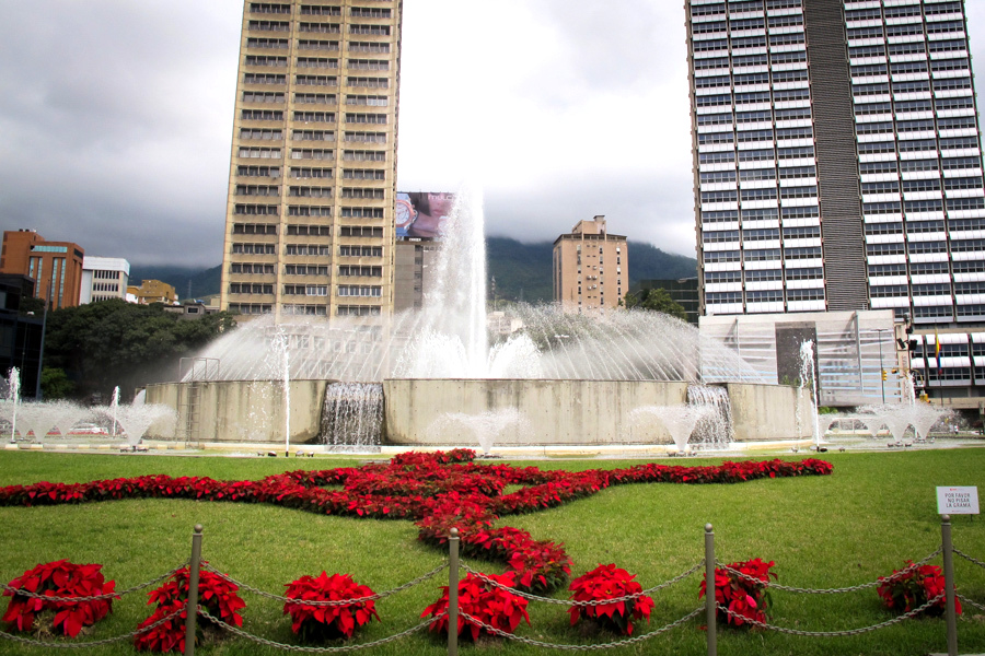 Convocan llevar una flor a Plaza Venezuela en honor a víctimas de la violencia