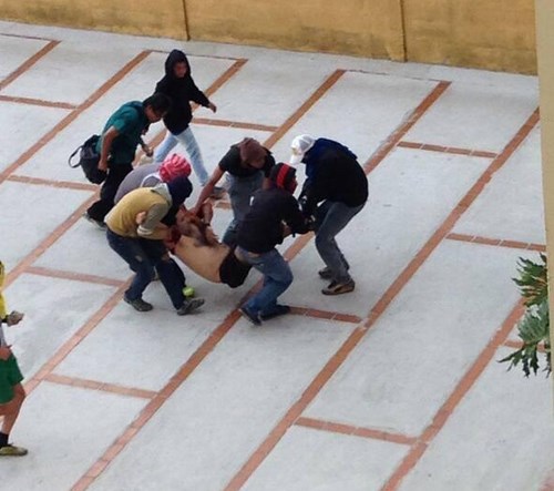 Reportan que paramilitares atacaron en una zona en Mérida (Fotos)