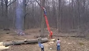 El quería cortar un árbol… pero el árbol no lo dejó (Video)