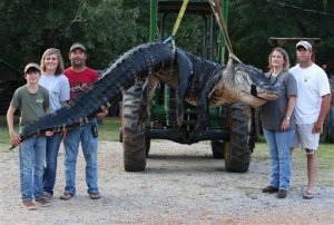 Cazan un cocodrilo de 450 kilos (Foto)