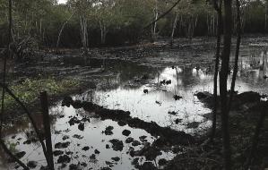 Acusan a Pdvsa de derrame petrolero en Barinas