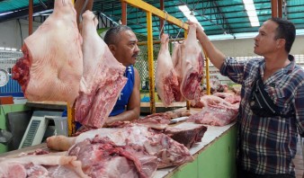 Entre 200 y 220 bolívares se cotiza el kilo de carne de cochino