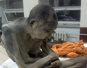 Encuentran una momia de 200 años de edad en posición de loto