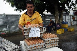 Entre 480 y 500 bolívares está el cartón de huevos en San Cristóbal