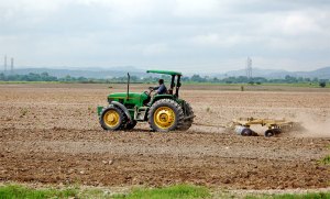Fedeagro responsabiliza a AgroPatria de la caída de la producción