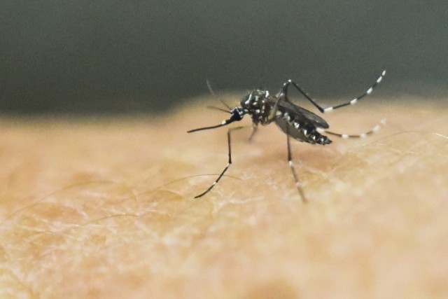 Colombia registra 20.000 casos de zika, más de 2.000 en embarazadas