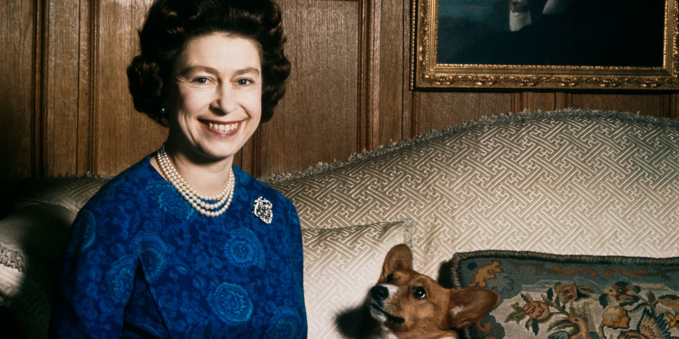 Los perros de la reina Isabel II comen por orden de antigüedad