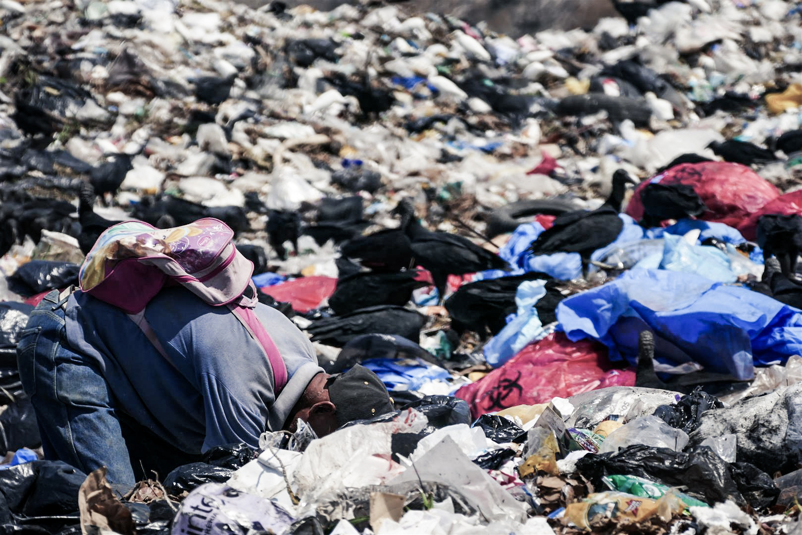 Vivir entre la basura: Los “gancheros” de Pavia (FOTOS)