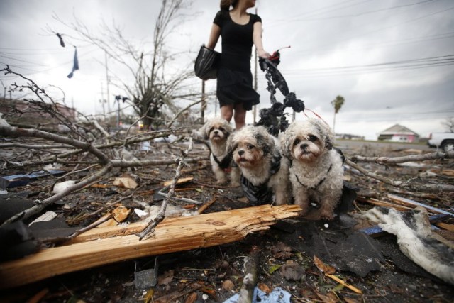 NEW ORLEANS, LA - FEBRUARY 07: A woman holds three dogs by a make-shift leash amongst the debris left behind by a tornado on February 7, 2017 in New Orleans, Louisiana. According to the weather service, 25 people were injured in the aftermath of the tornado. Sean Gardner/Getty Images/AFP