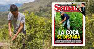Semana: Se disparan los cultivos de coca en Colombia