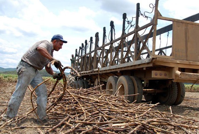 Fesoca: La exoneración de aranceles a los productos importados es un duro golpe a la producción nacional