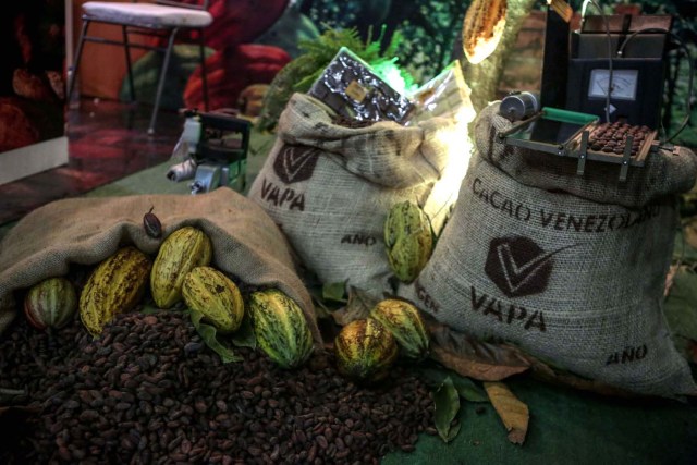 ACOMPAÑA CRÓNICA: VENEZUELA GASTRONOMÍA. CAR01. CARACAS (VENEZUELA), 29/09/2017.- Fotografía fechada el 28 de septiembre de 2017 que muestra una exhibición de granos de cacao en Caracas (Venezuela). La industria del chocolate en Venezuela organiza su V Expoferia Internacional para "darle impulso" exportador a sus productos, en medio de la rampante crisis económica que atraviesa el país petrolero, y con la mira puesta en otro récord Guinness que promocione el llamado "mejor cacao del mundo". EFE/Cristian Hernández