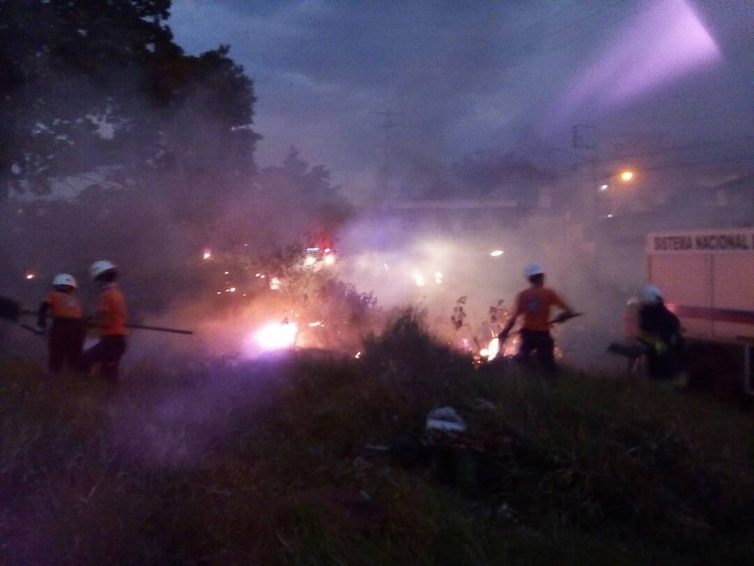 Cinco hectáreas de vegetación se han incendiado en los últimos 15 días en Táchira