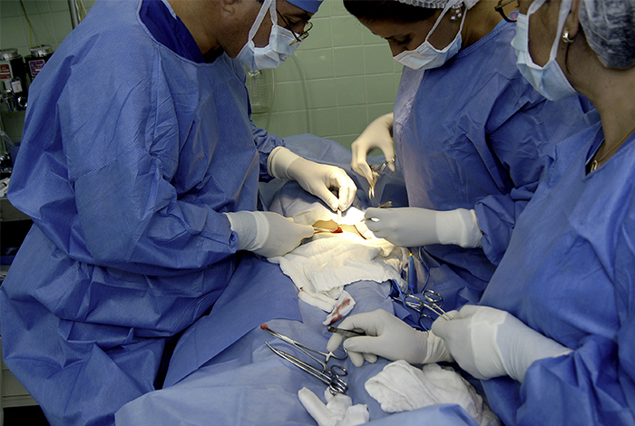 Ontv: Existe una grave situación en el sistema de donación y trasplanta de órganos