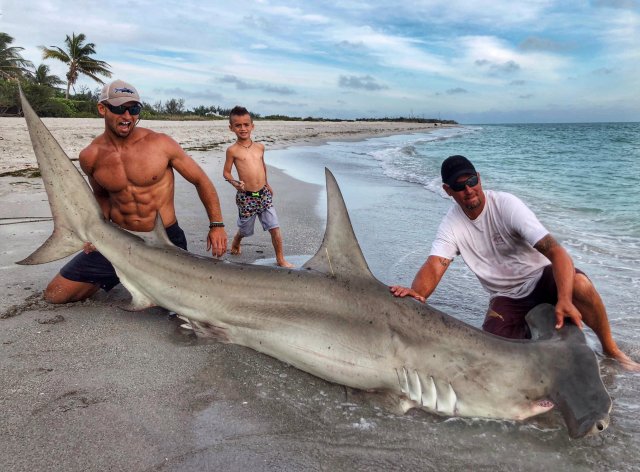 Elliot Sudal junto al tiburón martillo de 3,6 metros. Nadie se fijó en el animal (Elliot Sudal) 
