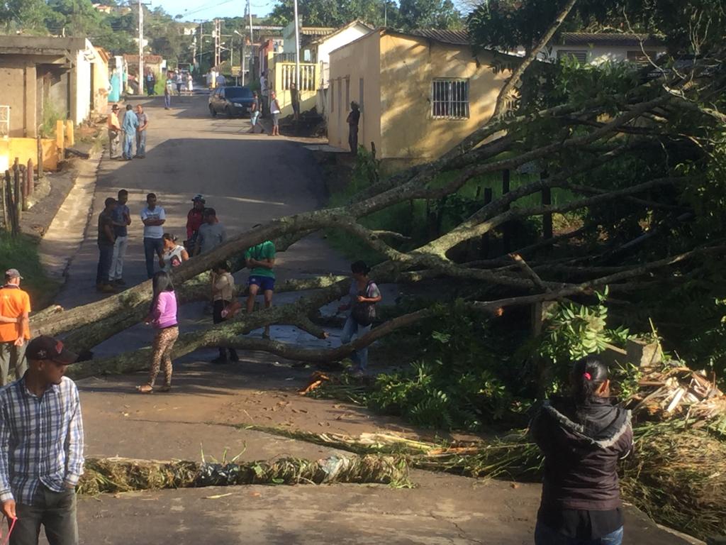 Más de 1.000 familias incomunicadas por fuertes lluvias en Falcón (fotos)