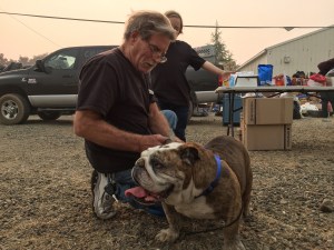 Dolorosa incertidumbre: El fuego de California separa familias de sus mascotas (Fotos)