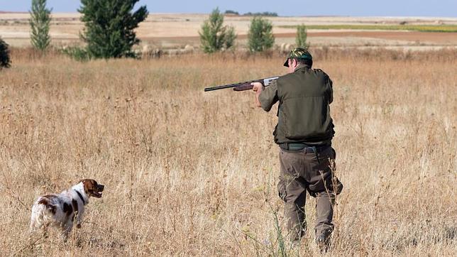 En España, un niño murió tras recibir un disparo durante un ejercicio de caza