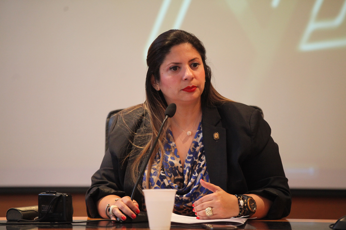 Nora Bracho: El Plan País está listo para la recuperación de los servicios públicos