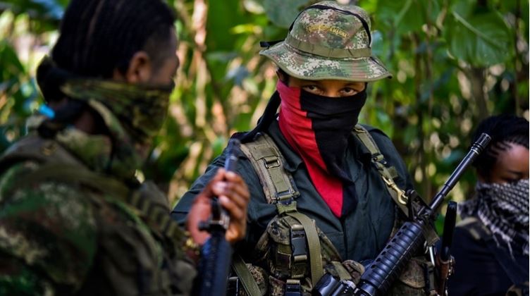 Fuerzas Militares de Colombia denuncian que casi la mitad del ELN está en Venezuela