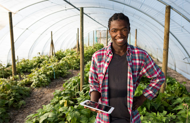 Los millennials están transformando la agricultura africana