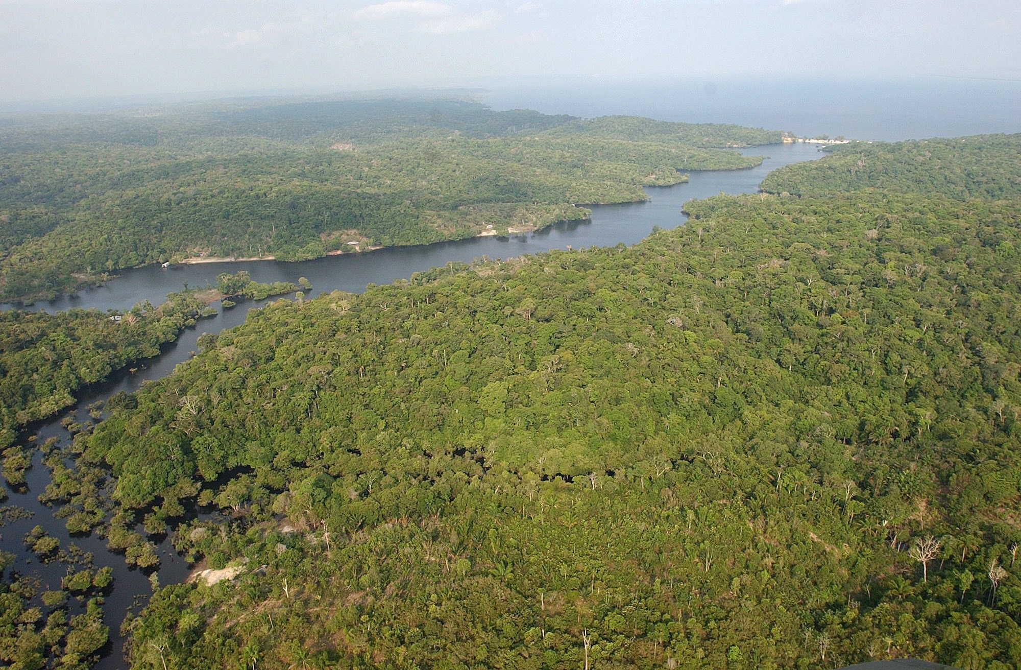 Canadá confirma que Brasil rechazó su oferta de ayuda para la Amazonía