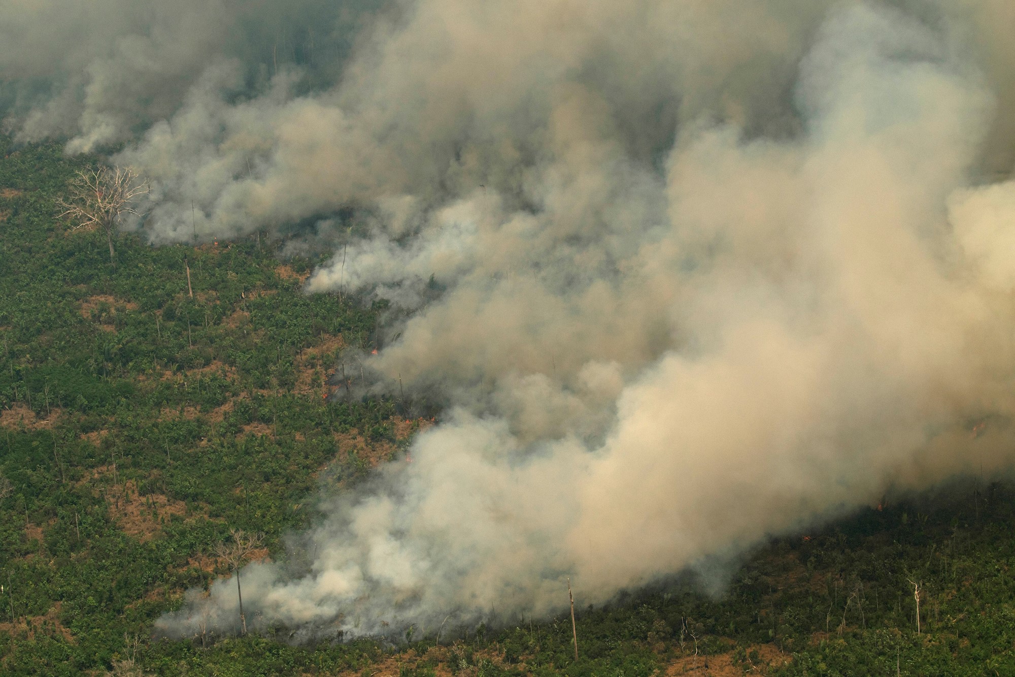 El humo de los incendios en la Amazonía llegó a Argentina
