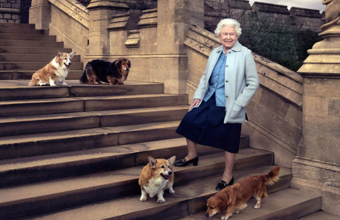 Perros corgi, lo más leales sirvientes de la reina Isabel II