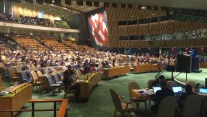 Países en la ONU abandonan emiciclo tras declaraciones de Delcy Rodríguez. Imagen cortesía.