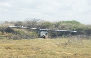 Hallaron una avioneta en una pista clandestina usada por el narcotráfico en Falcón (Fotos)