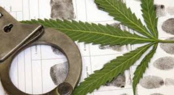 California eliminará 85 mil condenas relacionadas al cannabis en sus registros penales