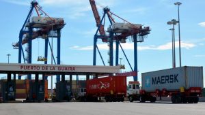 Chavismo anunció la llegada de 96 nuevos vehículos al Puerto de La Guaira (Video)