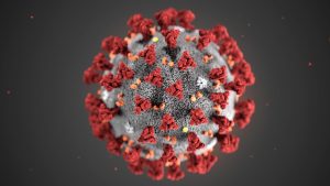 Una investigación asegura que la quercetina podría ser efectiva contra el coronavirus