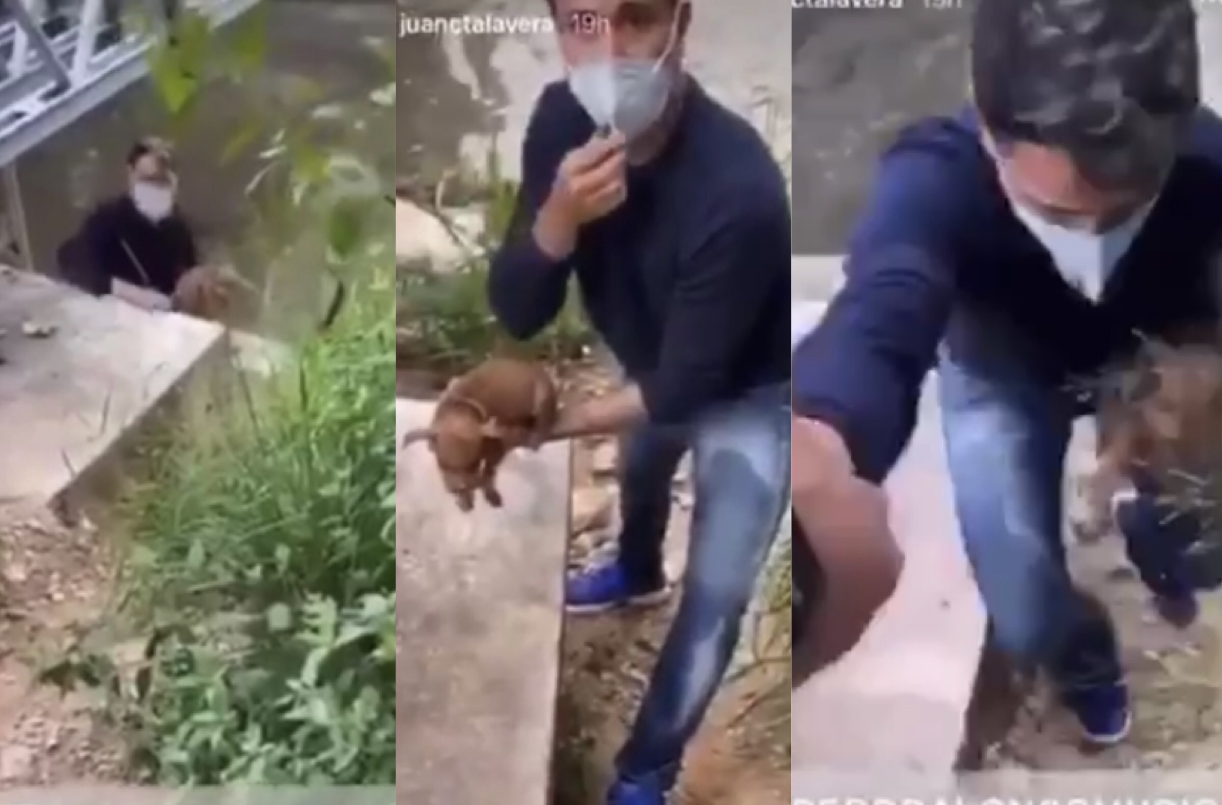 Pedro Alonso, el cantante que se metió al Guaire para salvar a un perro (VIDEO)