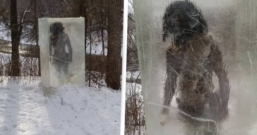 Pasaron de “moda” los monolitos… ahora aparece una escultura de un cavernícola congelado en EEUU (FOTOS)