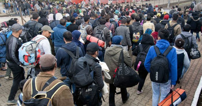 Situation report: Venezuelan migration and refugee crisis (december 2020)