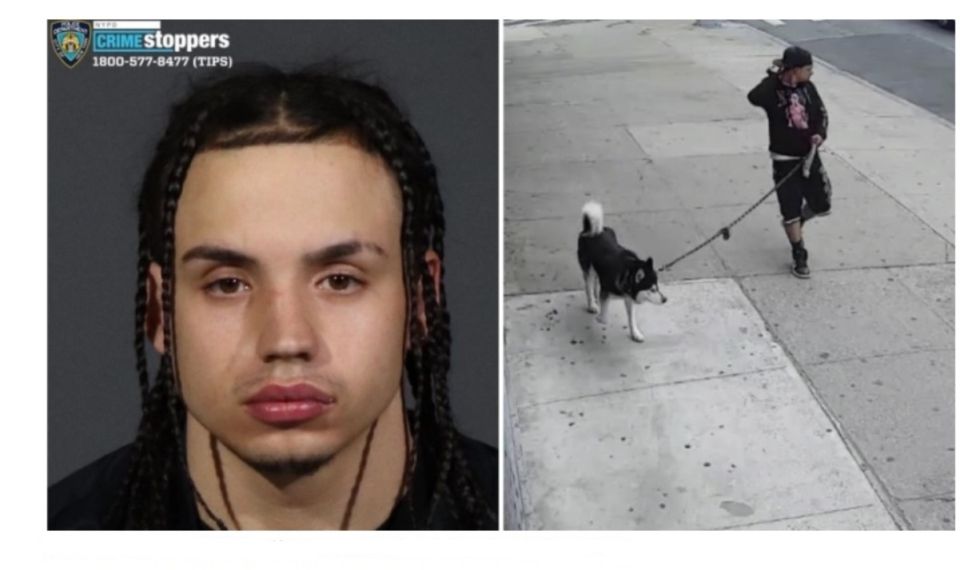 Policía de Nueva York busca a sujeto por usar a sus perros para acosar menores de edad