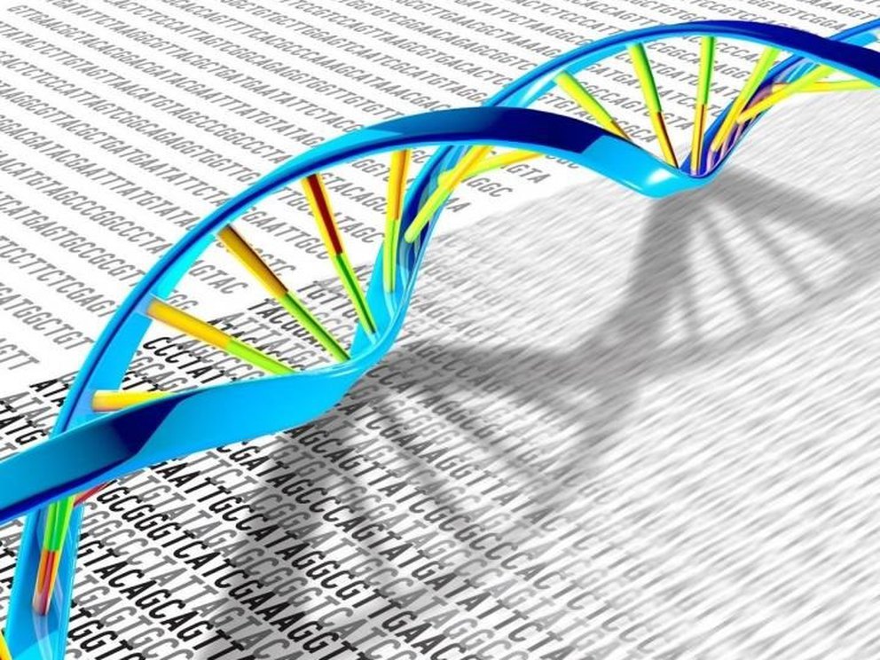 Un grupo de científicos anunció que secuenció por primera vez todo el genoma humano
