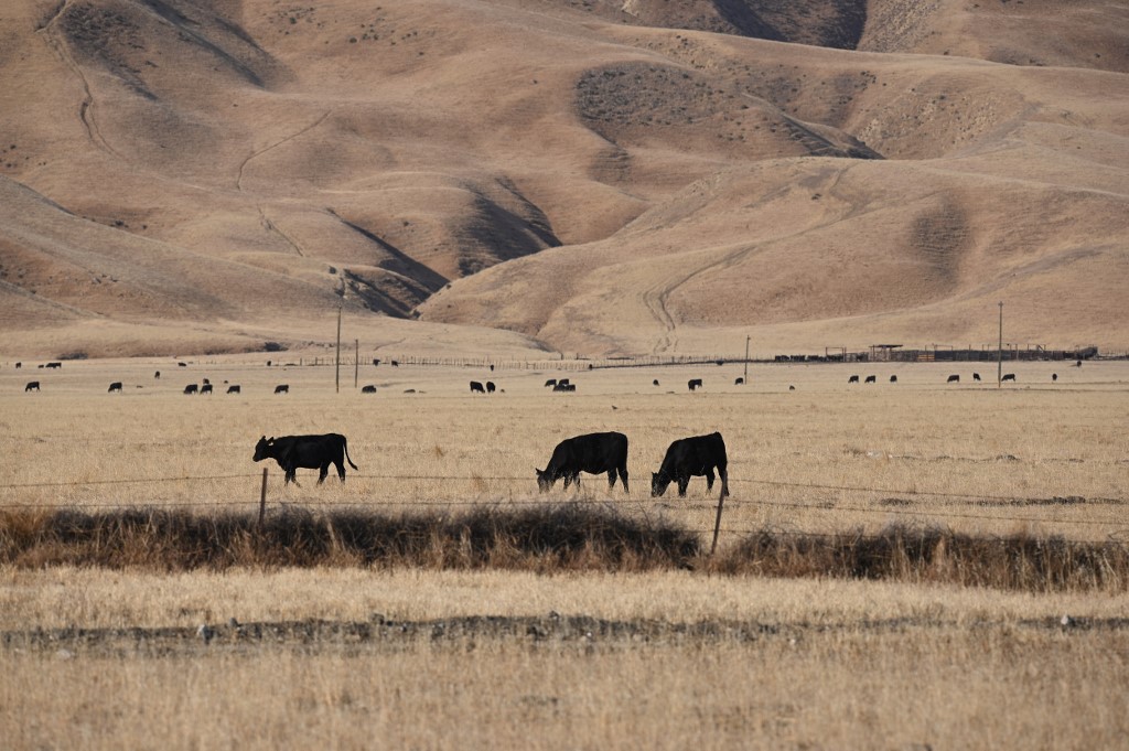 La sequía en California pone en jaque el suministro de alimentos en gran parte de EEUU