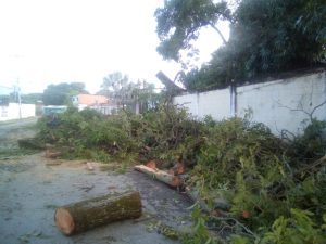 Fuertes vientos provocaron destrozos en capital de Guárico