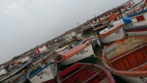 Más de 300 embarcaciones pesqueras varadas al occidente de Falcón por falta de combustible