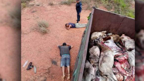 Detenidos dos sujetos por abigeato y secuestro de ganaderos en Anzoátegui