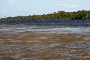 Tragedia: Madre e hijo fueron devorados por pirañas en el río Orinoco